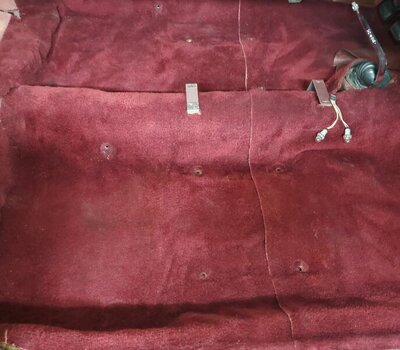 carpet.jpg carpet.jpg