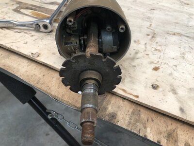 7F3203AA-DB76-4108-911F-CDC948C94071.jpeg 7F3203AA-DB76-4108-911F-CDC948C94071.jpeg