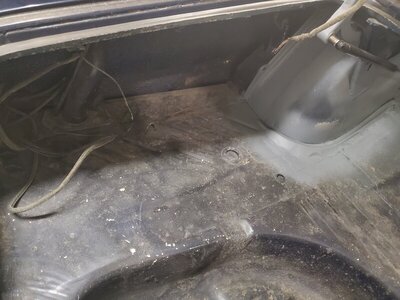 20210606_170145.jpg 20210606_170145.jpg