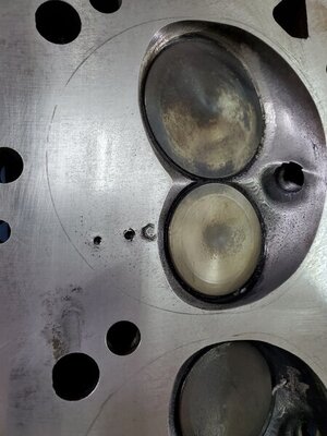 20210607_140351_resized.jpg 20210607_140351_resized.jpg