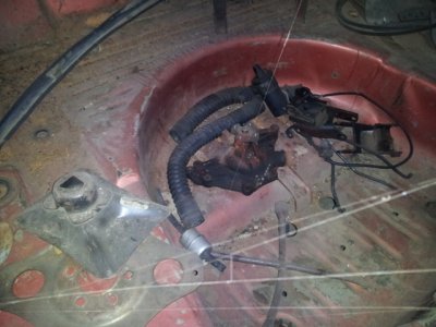 sm-trunkgood.jpg sm-trunkgood.jpg