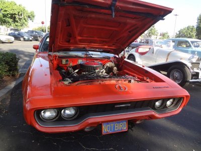 scs biscayne, brandon b day 274.jpg scs biscayne, brandon b day 274.jpg