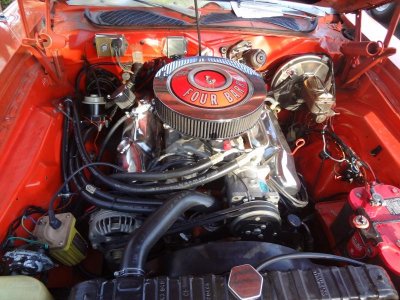 scs biscayne, brandon b day 275.jpg scs biscayne, brandon b day 275.jpg