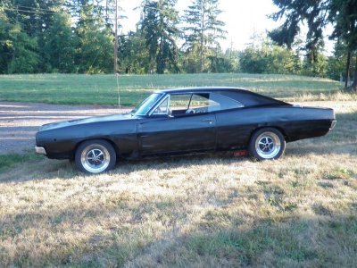 P8170508.jpg P8170508.jpg