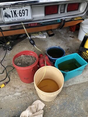 D8151EDE-FFFA-4F41-810B-93EBFE311EF6.jpeg D8151EDE-FFFA-4F41-810B-93EBFE311EF6.jpeg