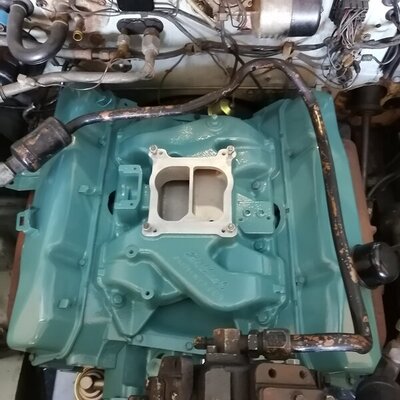 IMG_20210612_145055.jpg IMG_20210612_145055.jpg