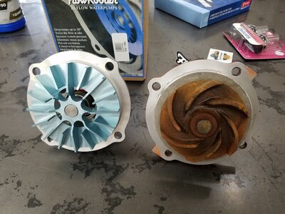 20210617_165149.jpg 20210617_165149.jpg