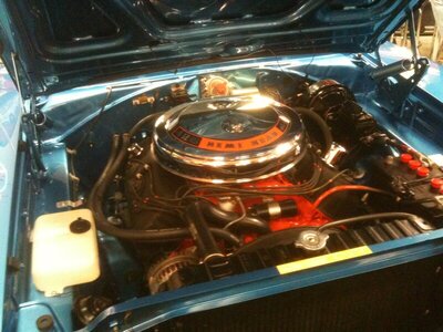 IMG_0240 (2016_11_22 02_37_15 UTC).jpg IMG_0240 (2016_11_22 02_37_15 UTC).jpg