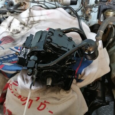 IMG_20210620_120535.jpg IMG_20210620_120535.jpg