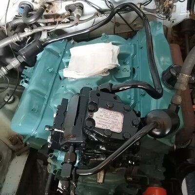 IMG_20210620_130244.jpg IMG_20210620_130244.jpg