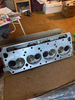 6475C50B-65A3-4707-8F20-AD5CACC4D514.jpeg 6475C50B-65A3-4707-8F20-AD5CACC4D514.jpeg