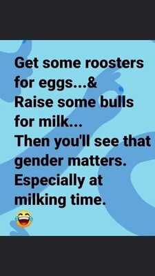 6F806D90-B06C-4794-861F-9C0FBDCE68B6.jpeg