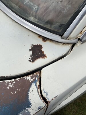 0325E8B9-3F5B-4423-9C34-F42B8B39EE96.jpeg 0325E8B9-3F5B-4423-9C34-F42B8B39EE96.jpeg