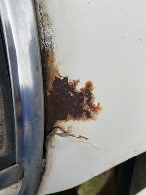 E150038F-0701-49D5-9D30-DE9962137B14.jpeg E150038F-0701-49D5-9D30-DE9962137B14.jpeg