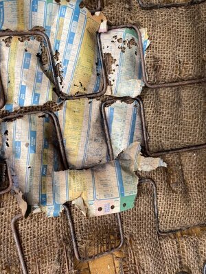 BB44C0A1-A061-4C56-BDEE-6BD50E0FEBC8.jpeg BB44C0A1-A061-4C56-BDEE-6BD50E0FEBC8.jpeg