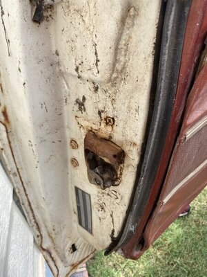 E2F085F9-C782-4B31-88BC-5C485D640726.jpeg E2F085F9-C782-4B31-88BC-5C485D640726.jpeg