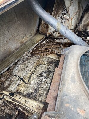 16F2D4A2-A8B1-4C5A-9302-B9E711FEA65B.jpeg 16F2D4A2-A8B1-4C5A-9302-B9E711FEA65B.jpeg