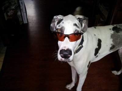 sm-mynewhelper.jpg sm-mynewhelper.jpg