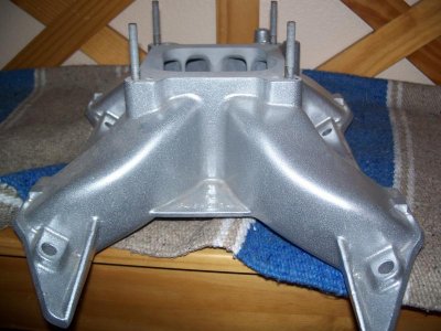 m1 back.jpg