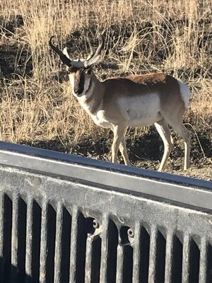 137C7101-2F90-40A5-9DB3-C03FEA50F8FA.jpeg 137C7101-2F90-40A5-9DB3-C03FEA50F8FA.jpeg