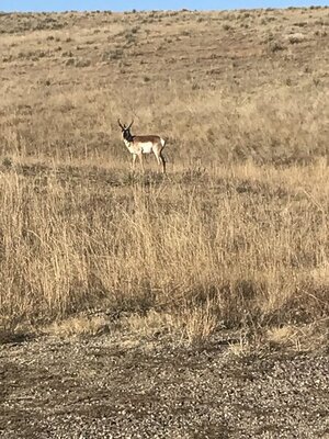 7F8F7DBB-30C1-40A1-A18A-0BDC13BA6F38.jpeg 7F8F7DBB-30C1-40A1-A18A-0BDC13BA6F38.jpeg