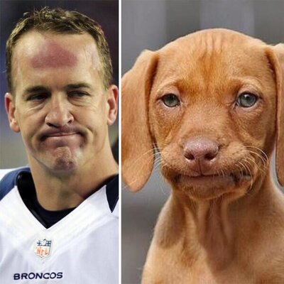 frustrated.jpg frustrated.jpg