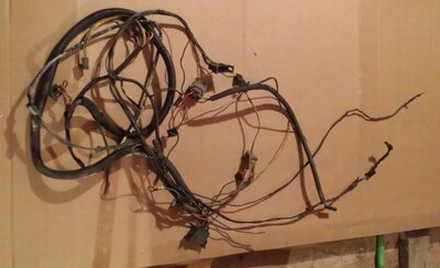 20181126_191242.jpg 20181126_191242.jpg