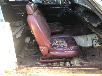 DCB54437-7389-4458-BC51-CE42132ADAFE.jpeg DCB54437-7389-4458-BC51-CE42132ADAFE.jpeg