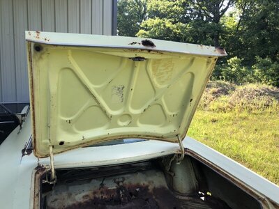 B9544473-6AD5-49C1-9300-21DDD7E13C8F.jpeg B9544473-6AD5-49C1-9300-21DDD7E13C8F.jpeg