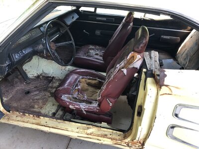 221309C8-669D-44AE-9BAA-FBDDCC21F4DE.jpeg 221309C8-669D-44AE-9BAA-FBDDCC21F4DE.jpeg