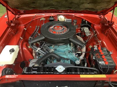 4B65BC7A-DEC7-483B-88D6-9749F03DF188.jpeg 4B65BC7A-DEC7-483B-88D6-9749F03DF188.jpeg