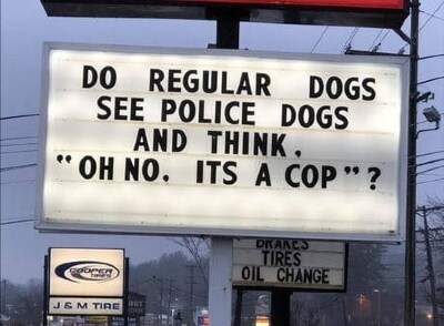funny-sign-that-reads-do-regular-dogs-see-police-dogs-and-think-oh-no-its-a-cop.jpg