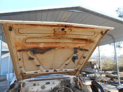 DSCN0096.JPG