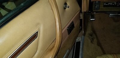 20190620_173303.jpg 20190620_173303.jpg