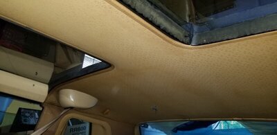 20190620_173319.jpg 20190620_173319.jpg