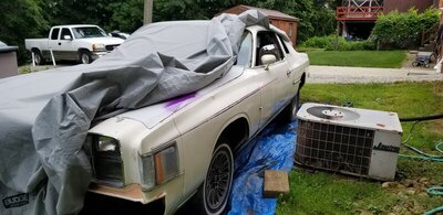 20190620_173100.jpg 20190620_173100.jpg