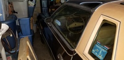 20190620_172510.jpg 20190620_172510.jpg