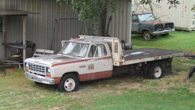 IMG_1337 (1).JPG IMG_1337 (1).JPG