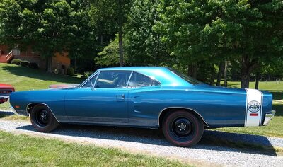 SuperBee.jpg SuperBee.jpg