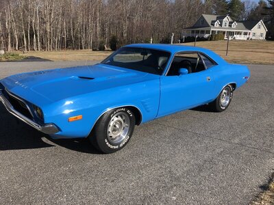 IMG_0060.JPEG IMG_0060.JPEG