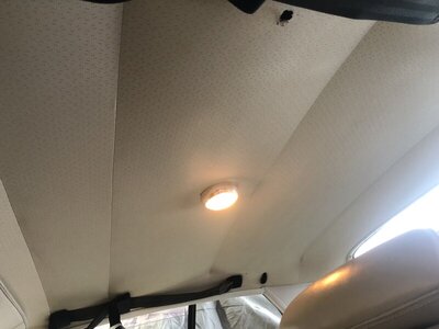 9691E8D6-E7C9-4FB9-8BC8-9C7BECAE251F.jpeg 9691E8D6-E7C9-4FB9-8BC8-9C7BECAE251F.jpeg