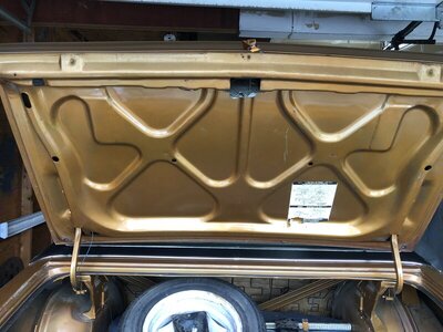 CF1D57D4-7965-4D3C-B023-9CEF36EDBDBF.jpeg CF1D57D4-7965-4D3C-B023-9CEF36EDBDBF.jpeg