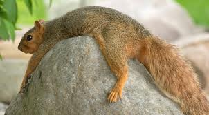 over the hump.jpg over the hump.jpg