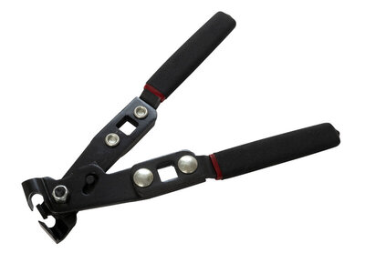 lisle5.jpg lisle5.jpg