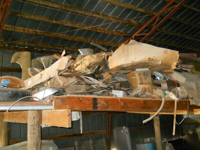 DSCN3063.JPG