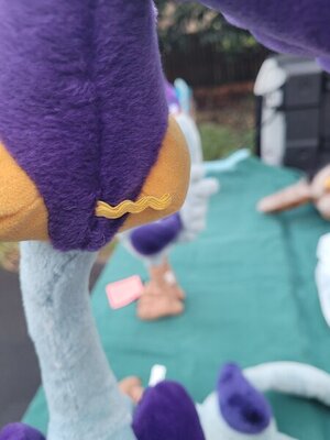 20210724_200912.jpg 20210724_200912.jpg