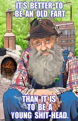 It's Better To Be An Old Fart Than It Is To Be A Young ****-Head.jpg