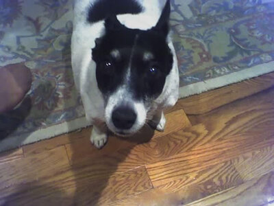 10-01-05_2035 (Small).jpg