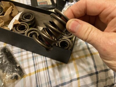 springs3.jpg springs3.jpg