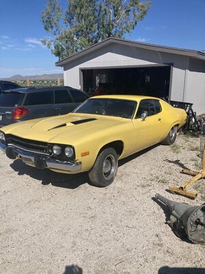 728C4E0B-7144-4733-8848-91912A694BB4.jpeg 728C4E0B-7144-4733-8848-91912A694BB4.jpeg